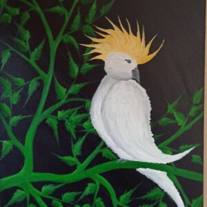 Kakadu Öl auf Leinwand 70x50 cm