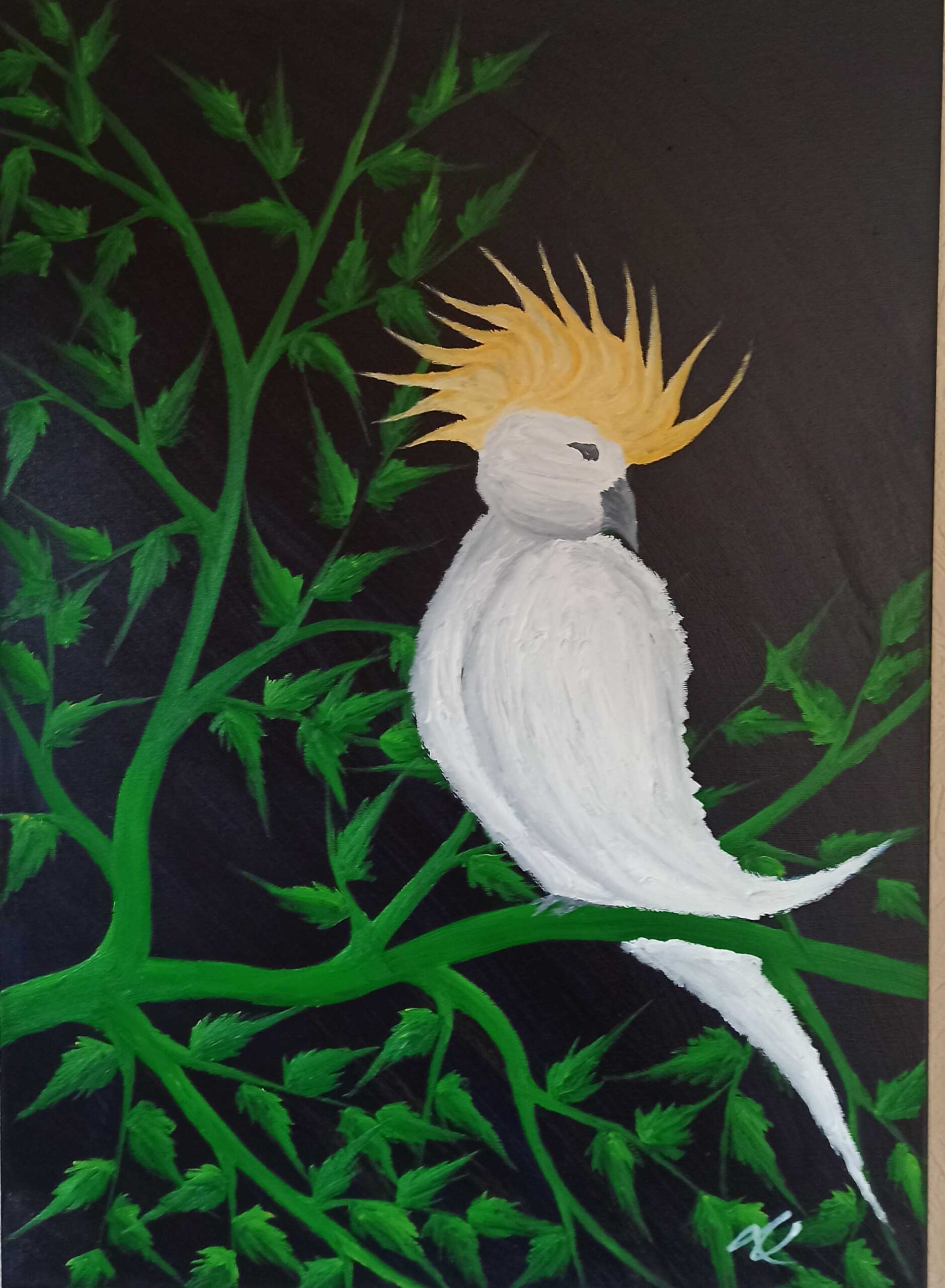 Kakadu Öl auf Leinwand 70x50 cm